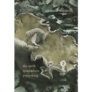 The Earth Remembers Everything