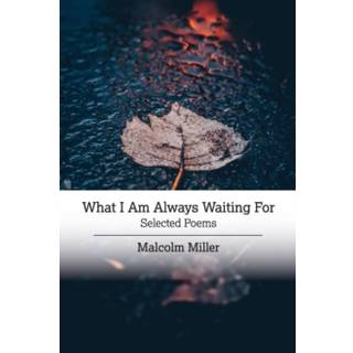 What I Am Always Waiting For