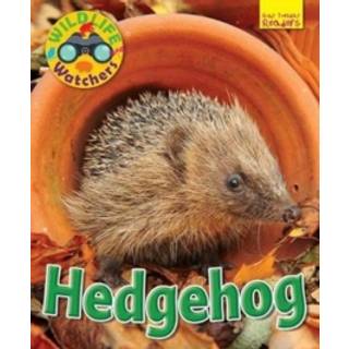Wildlife Watchers: Hedgehog