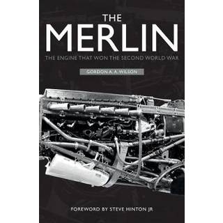 The Merlin