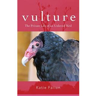 Vulture – The Private Life of an Unloved Bird