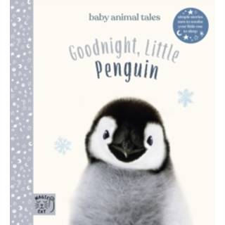 Goodnight, Little Penguin