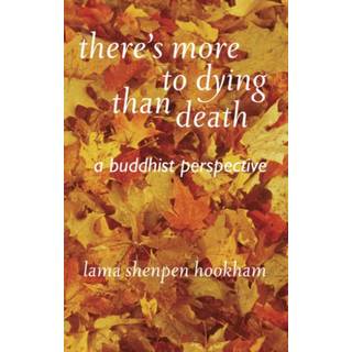 There's More to Dying Than Death: A Buddhist Perspective