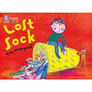 The Lost Sock