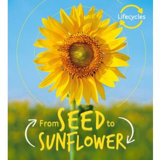 Lifecycles: Seed to Sunflower
