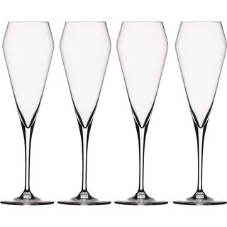 Spiegelau Willsberger Champagne 24 Cl 4-pak - Champagneglas Glas Klar - 1416175