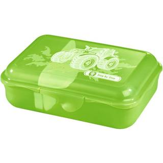 Step by Step Lunchbox Wild Cat