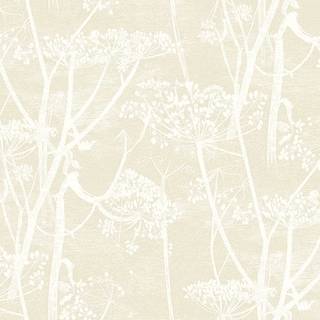 Cow Parsley - Chalk & Parchment
