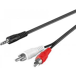 Pro MiniJack - 2xRCA - Black - 5m