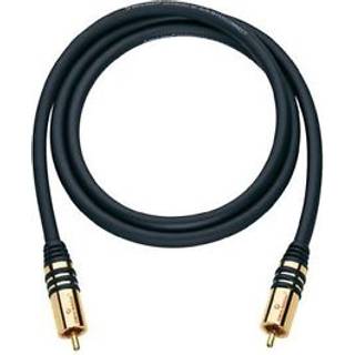Phono Audio Tilslutningskabel [1x Cinch-stik - 1x