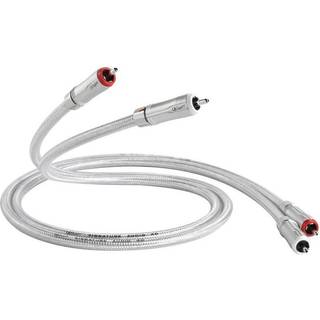 QED Signature Audio 40 RCA Stereo 1.0M