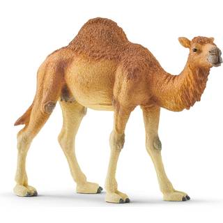 Schleich Dromedar