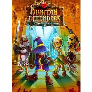 Dungeon Defenders PC Steam Account