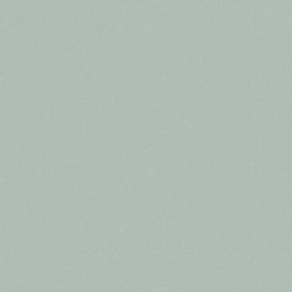 Minty Blue - 4880