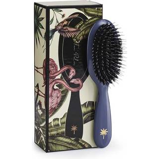 Fan Palm Boar & Nylon Brush Stardust Small