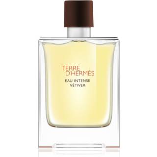 Hermès Terre D'Hermès Eau Intense Vetiver Eau de parfum 100 ml