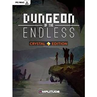 Dungeon of the Endless (PC) - Standard