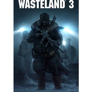 Wasteland 3 (PC) - Steam Key - GLOBAL