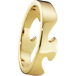 Georg Jensen Fusion Endering