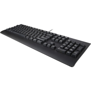LENOVO Preferred Pro II USB Keyboard-Black US English with Euro symbol (US)