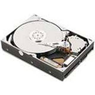 IBM - 1TB - Harddisk - 81Y9691 - SAS2 - 2.5"