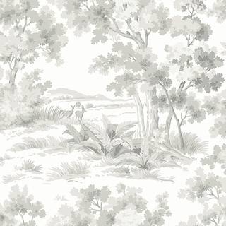 Countryside Morning - 7677