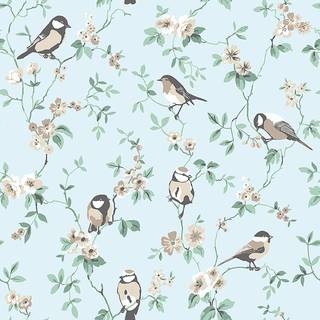 Falsterbo Birds - 7681