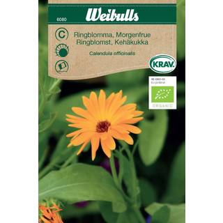 Blomsterfrø (Marigold calendula officinalis) Økologisk