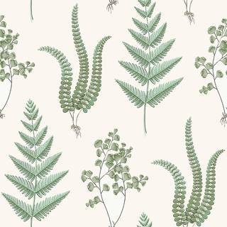 Herba - 7657