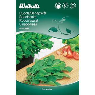 Salatfrø (Ruccolasalat Eruca Sativa)