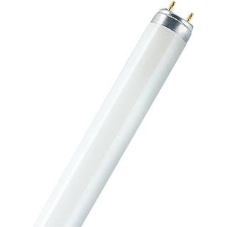 Osram T8 Lumilux 36W - 830 varm hvid | 120cm