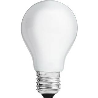 Globen Lighting Lyskilde E27 LED normal Opal