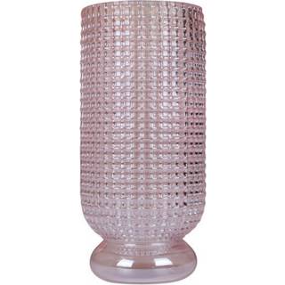 Specktrum - Savanna vase - Cylinder - Rose