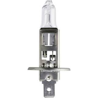 H1 Vision 12v 55w p14,5s
