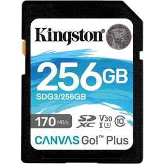 Kingston Canvas Go Plus SDXC 256GB
