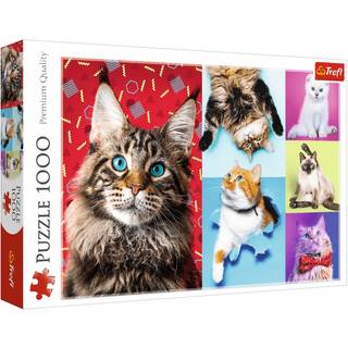 Happy Cats - 1000 brikker