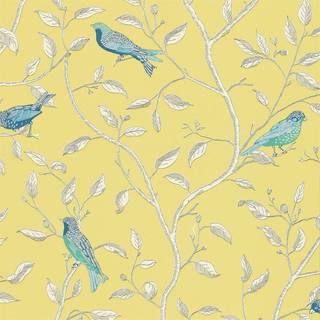 Finches Yellow - DOPWFI101