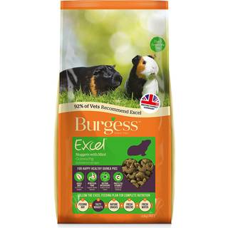 Burgess Excel Guinea Pig 10kg, Mint
