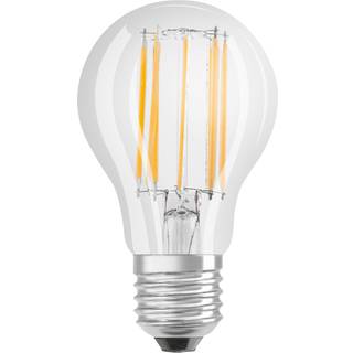 OSRAM LED LAMP RUND RUND (100) BOX