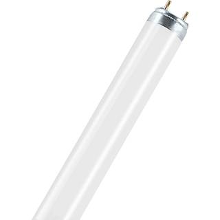 Osram T8 Lumilux Natura 36W - 735 varm hvid | 120cm