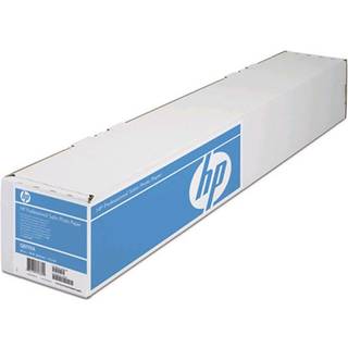 HP Professional Instant-dry Satin Photo Paper 300g/m²- 24" x 15.2 meter (FSC)