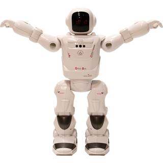 G4P Robot Orbit Bot