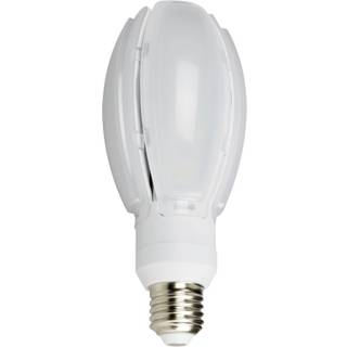 NASC NASC LED Oval Gårdslampe 24W E27 4000K 7391316570626