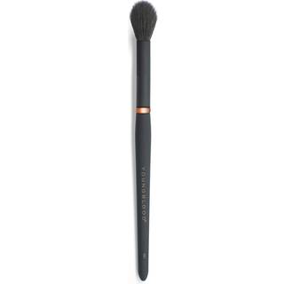 Youngblood Highlight YB7 Brush
