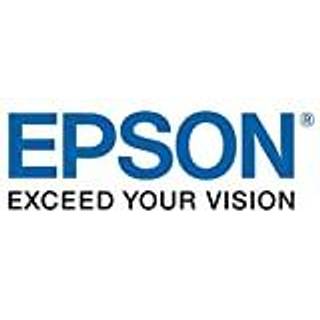 Epson Blækpatron magenta C13T02Y300