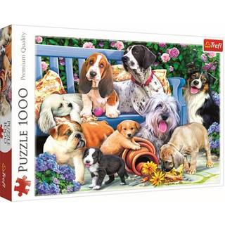 Dogs in the garden - 1000 Brikker