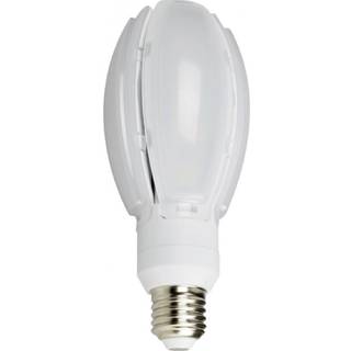 NASC NASC LED Oval Gårdslampe 24W E27 3000K 7391316570893