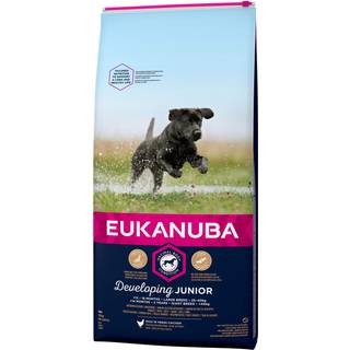 Eukanuba Developing Junior Large Breed Chicken 15 kg
