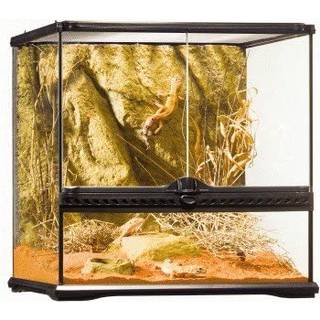 ExoTerra terrarium 45 x 45 x 45 cm.