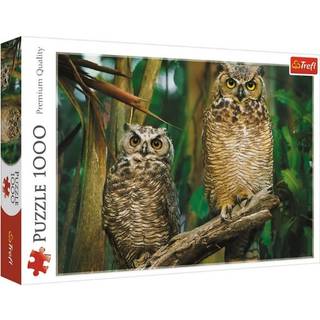 Owls - 1000 Brikker